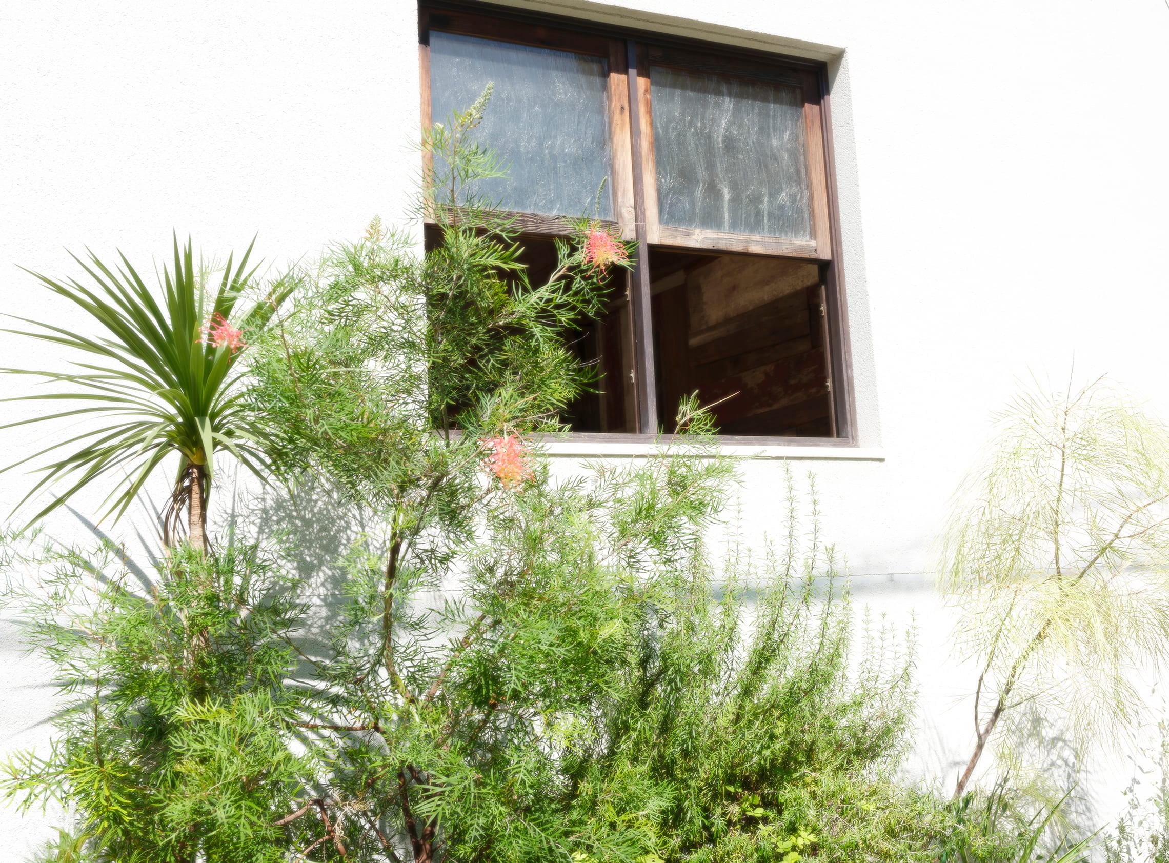 還暦記念写真撮影の服装ガイド｜主役と家族の失敗しない選び方5選